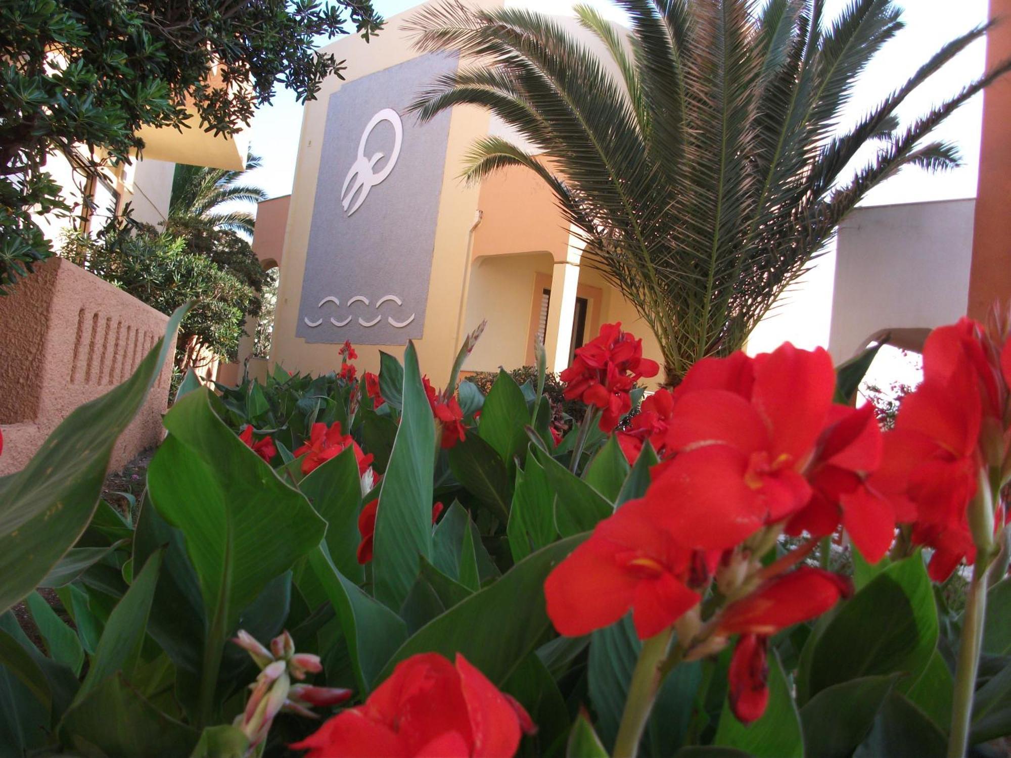Almyra Apartments & Suites Sfáka エクステリア 写真